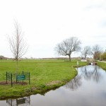 De koningslinde in het landschap