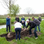 Planten van de Koningslinde